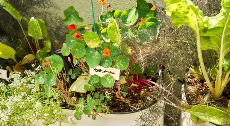 KI Website Slider (5)