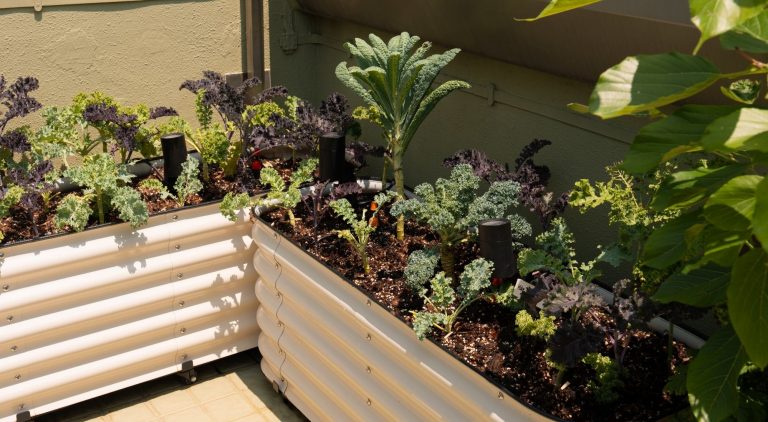 KI Website Slider (6)