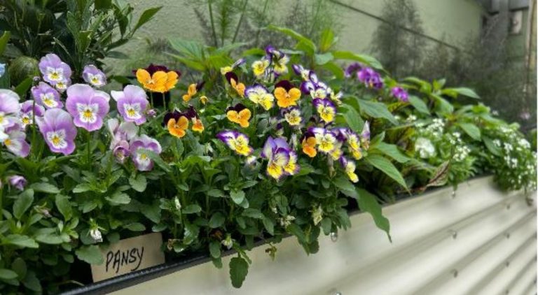 KI CLUB Secret Garden