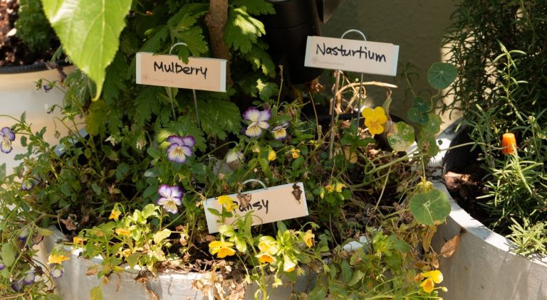 KI Website Slider (8)